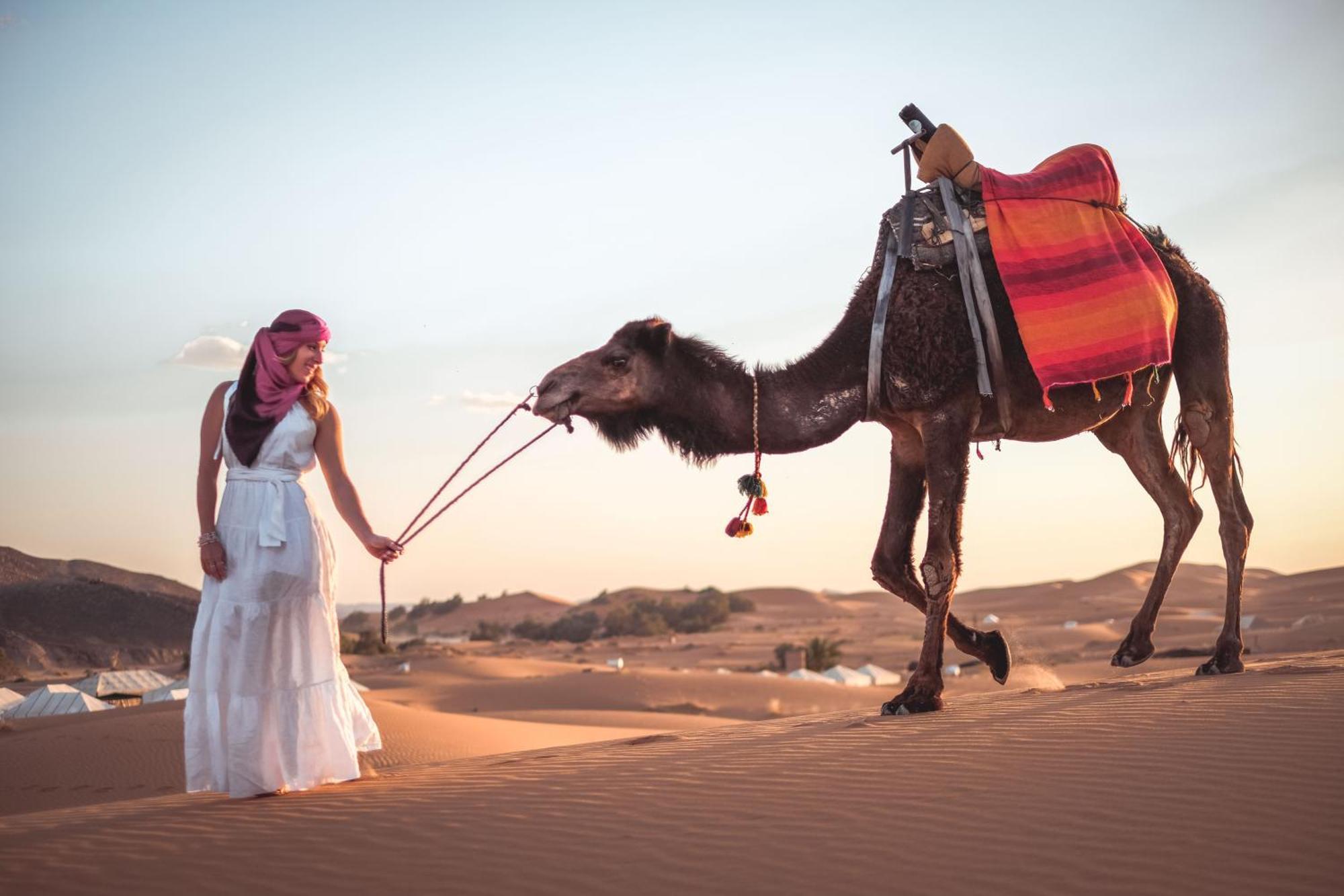 مبيت وإفطار مرزوكة Camel Luxury Camp المظهر الخارجي الصورة