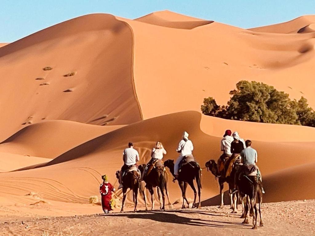 مبيت وإفطار مرزوكة Camel Luxury Camp المظهر الخارجي الصورة